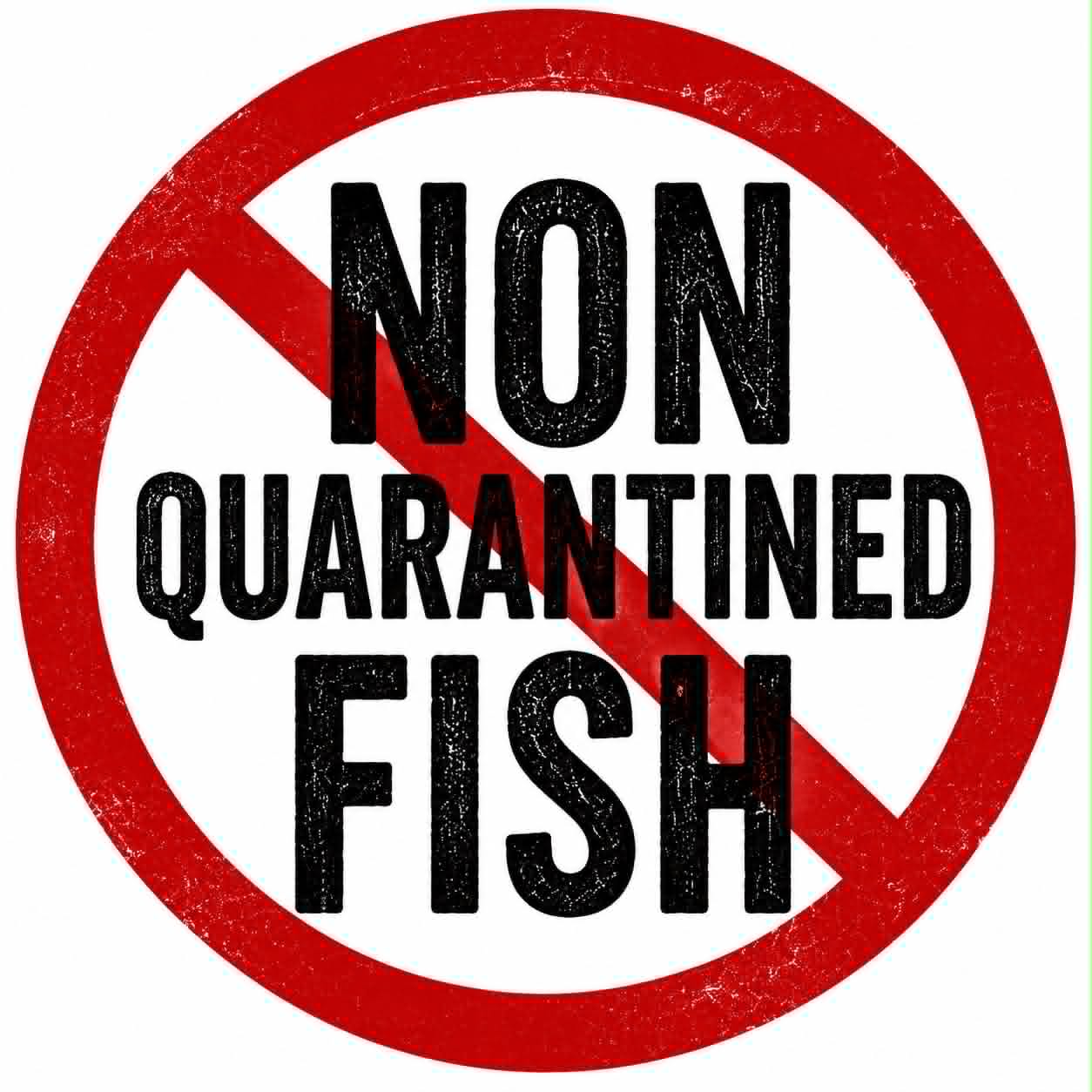Non-Quarantined Fish